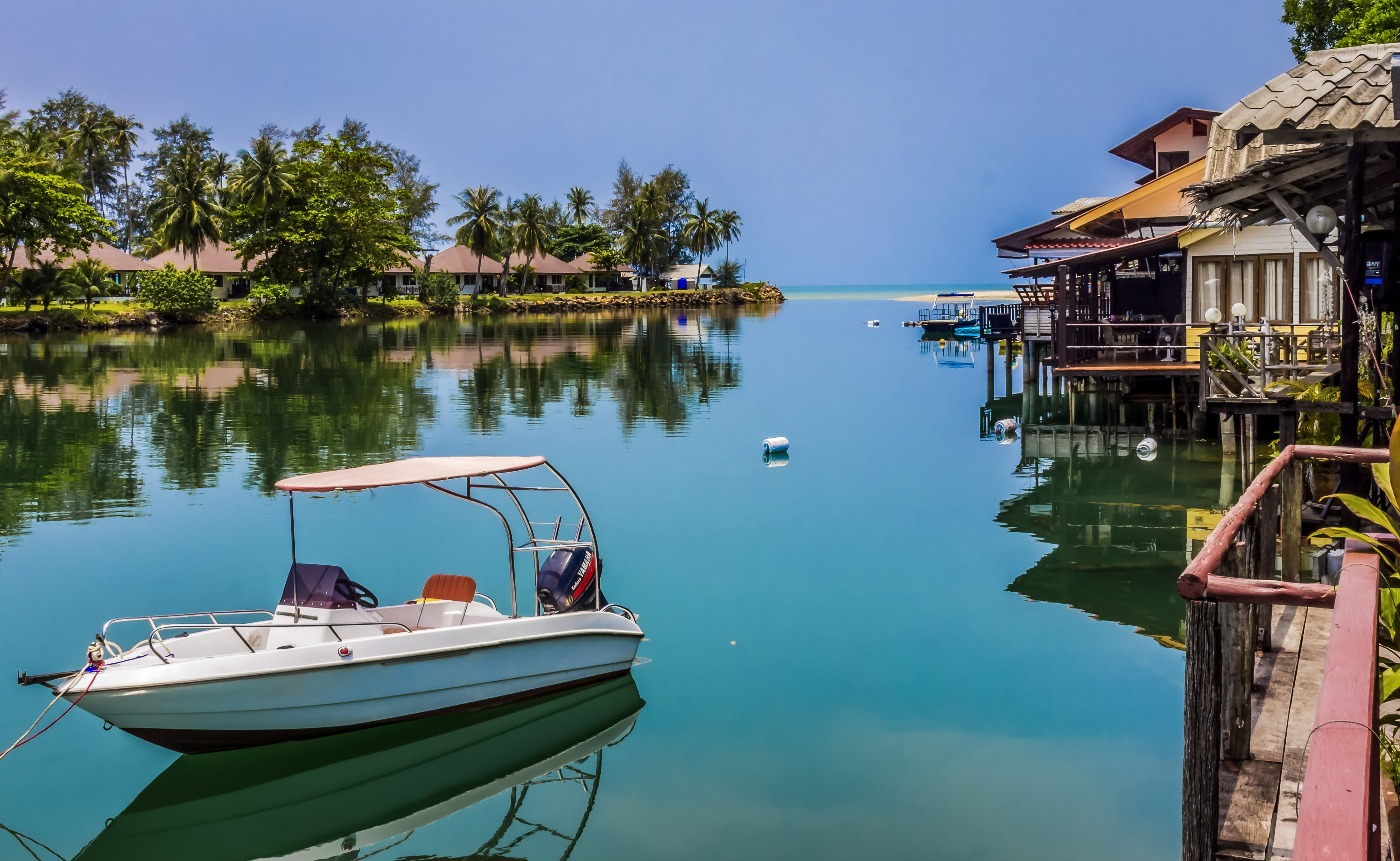 Professional Excellence